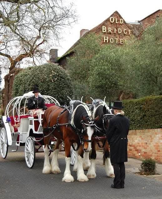 Fairytale Cinderella carriage